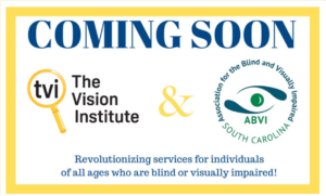 Coming Soon - The Vision Institute and ABVISC Merging